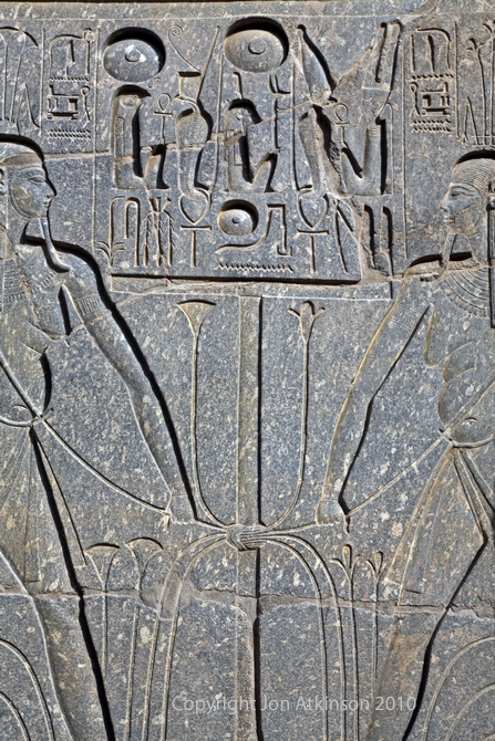 Relief in the Great court of Ramesses II